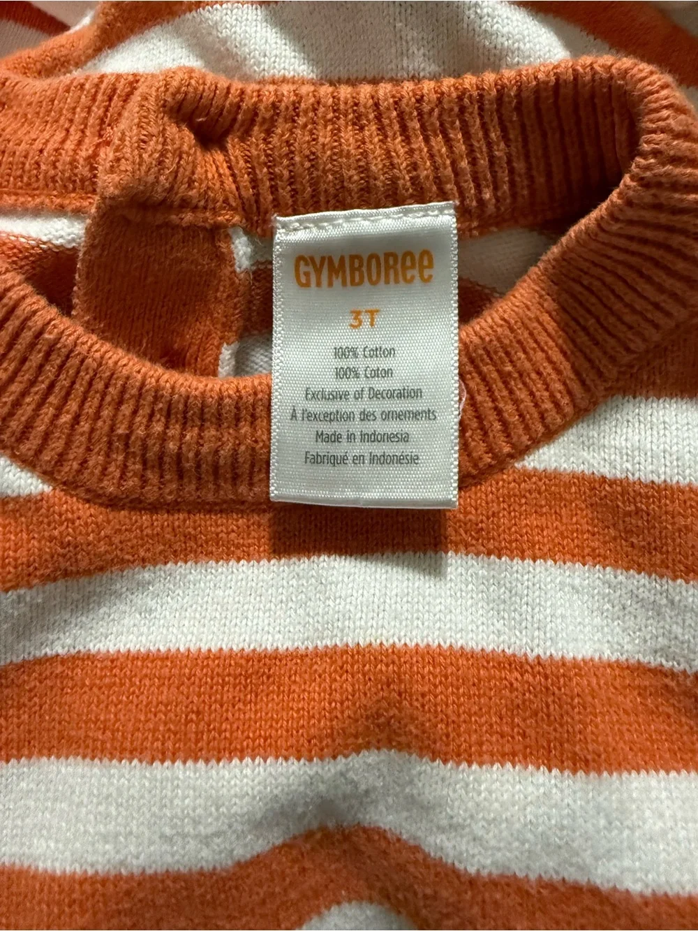 Gymboree Pumpkin Sweater Dress